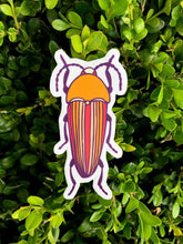 Load image into Gallery viewer, Striped Beetle Sticker
