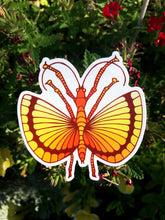 Load image into Gallery viewer, Flying Stick Bug Sticker