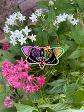 Load image into Gallery viewer, Holographic Death Moth Sticker