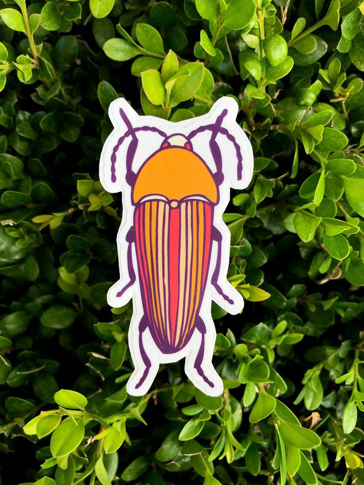 Striped Beetle Sticker