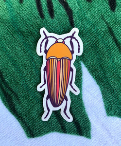 Striped Beetle Sticker