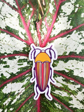 Load image into Gallery viewer, Striped Beetle Sticker